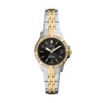 Reloj de Acero Inoxidable Bicolor