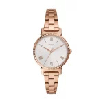 Reloj Daisy de Acero Inoxidable