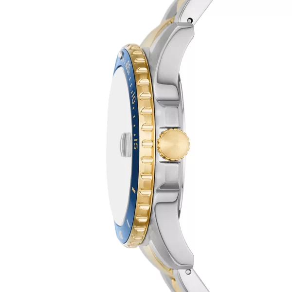 Reloj Fossil FS6034